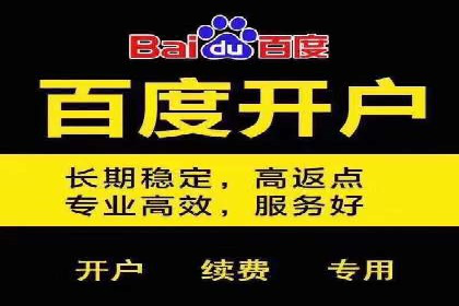 竞价排名关键词优化实战案例分析